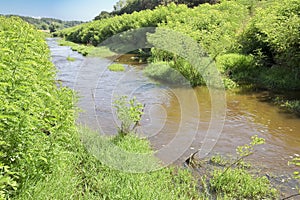 Rural landscape with polluted water of an irrigation canal