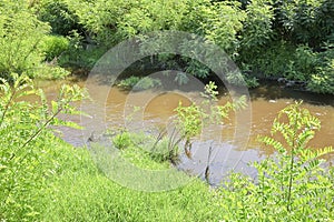 Rural landscape with polluted water of an irrigation canal