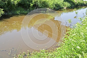 Rural landscape with polluted water of an irrigation canal