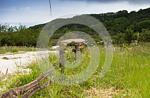 Rural landscape with quickset hedge