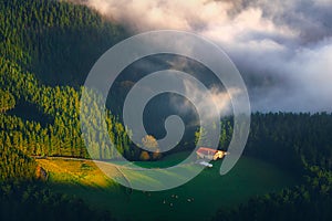 Rural landscape with remote house and livestock