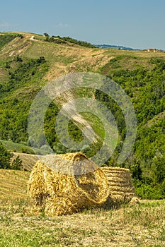 Rural landscape at Rivalta di Lesignano Bagni, Emilia-Romagna