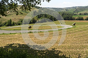 Rural landscape at Rivalta di Lesignano Bagni, Emilia-Romagna