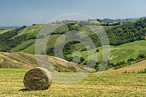 Rural landscape at Rivalta di Lesignano Bagni, Emilia-Romagna