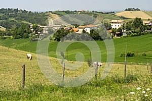 Rural landscape at Rivalta di Lesignano Bagni, Emilia-Romagna