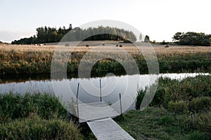 Rural landscape with river and field