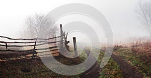 Rural landscape with road and fence