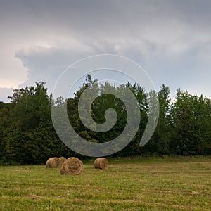 Rural landscape with rolls of hay, meadow and roll bales during overcast summer day