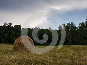 Rural landscape with rolls of hay, meadow and roll bales during overcast summer day