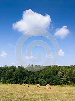 Rural landscape with rolls of hay, meadow and roll bales during sunny summer with clouds