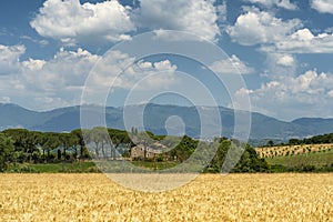 Rural landscape in the Rome province