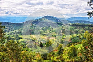 Rural Landscape Rwanda