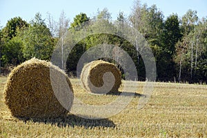 Rural landscape scene. Open spaces. Harvested field and stubble. Bales of collected straw