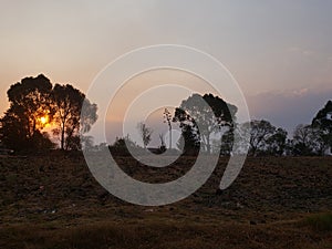 rural landscape with the silhouette of the trees at sunset in Toluca, Mexico