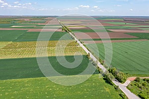 Rural landscape of Silistra region in Bulgaria.