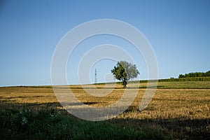 Rural landscape in Slovakia with corn fields.