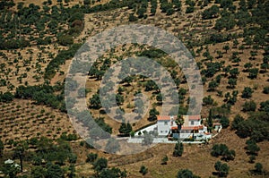 Rural landscape with small farmhouse and trees