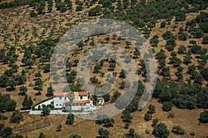 Rural landscape with small farmhouse and trees