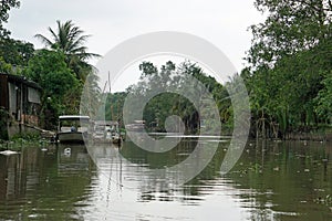 rural landscape at song hau river in vietnam