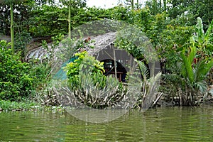 Rural landscape at song hau river in vietnam