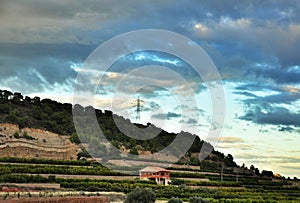 Rural landscape, Spain