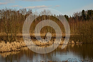 Rural landscape in spring.