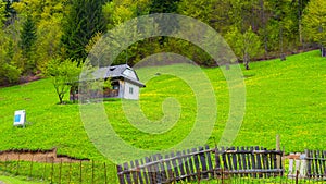 Rural landscape at spring north of lake Bicaz in Maramures Romania.