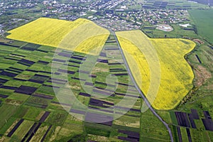 Rural landscape on spring or summer day. Aerial view of green, plowed and blooming fields, house roofs and a road on sunny dawn.