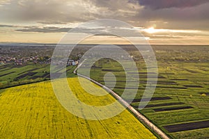 Rural landscape on spring or summer day. Aerial view of green, plowed and blooming fields, house roofs and a road on sunny dawn.