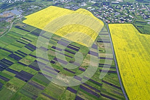 Rural landscape on spring or summer day. Aerial view of green, plowed and blooming fields, house roofs and a road on sunny dawn.