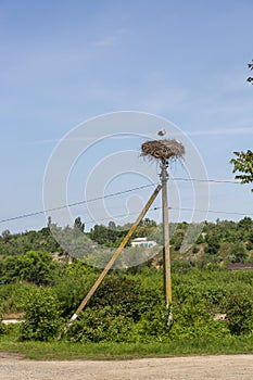 Rural landscape with storks nest on a pillar
