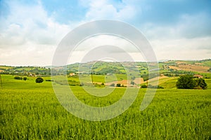 Rural Landscape at summer fields in Italian province of Ancona in Italy