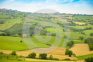 Rural Landscape at summer fields in Italian province of Ancona in Italy