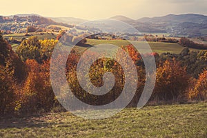 Rural landscape on a sunny day in autumn.Mountains in background.