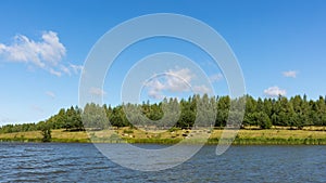 Rural landscape on a sunny day with grazing animals in a meadow near a lake