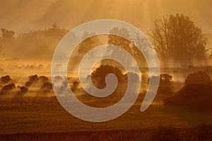 Rural landscape at sunrise