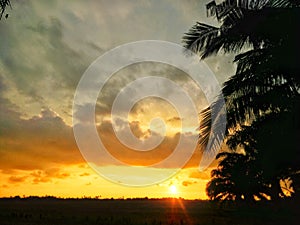 Rural landscape with sunset.