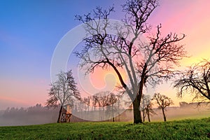 Rural landscape at sunset, with beautiful different colors in the sky