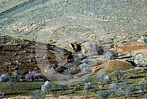 rural landscape in sunset in the moroccon Atlas mountain region