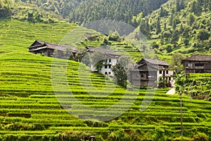 Rural landscape of terraces