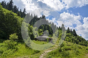 Rural landscape with traditional old wooden houses in Carpathian village. Ukrainian