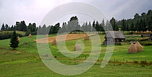 Rural landscape in Transilvania, Carpathian Mountains, green meadow, old house, silence in the middle of nature