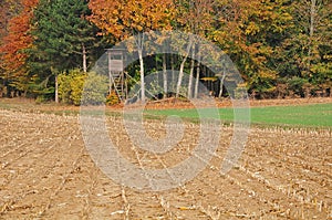 Rural landscape with tree stand at forest edge