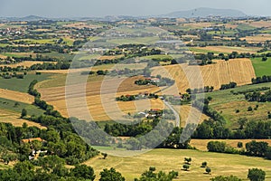 Rural landscape from Treia, Marches