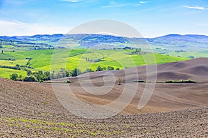 Rural landscape in Tuscany in spring