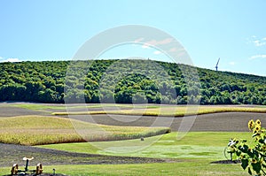 Rural Landscape in Upstate New York