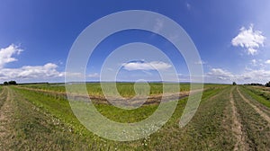 Rural landscape in Usedom with typical achterwsser creeks and agriculture