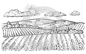 Rural landscape, vector vintage hand drawn illustration.