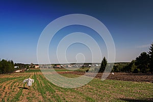 A rural landscape with a veil and a settlement in the background