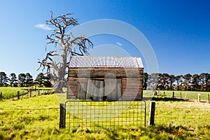 Rural Landscape in Victoria Australia